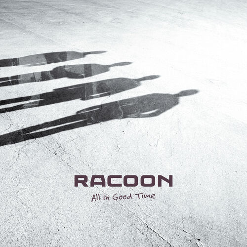 Racoon
